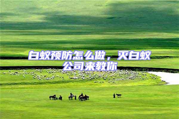 白蟻預防怎么做，滅白蟻公司來教你