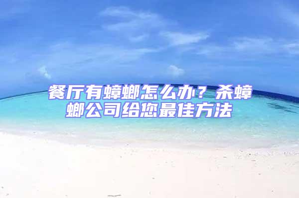 餐廳有蟑螂怎么辦？殺蟑螂公司給您最佳方法