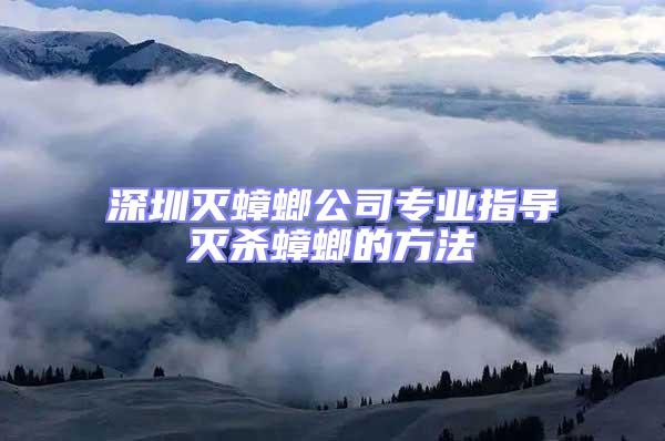 深圳滅蟑螂公司專業(yè)指導滅殺蟑螂的方法