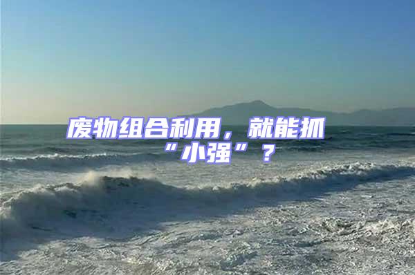 廢物組合利用，就能抓“小強”？