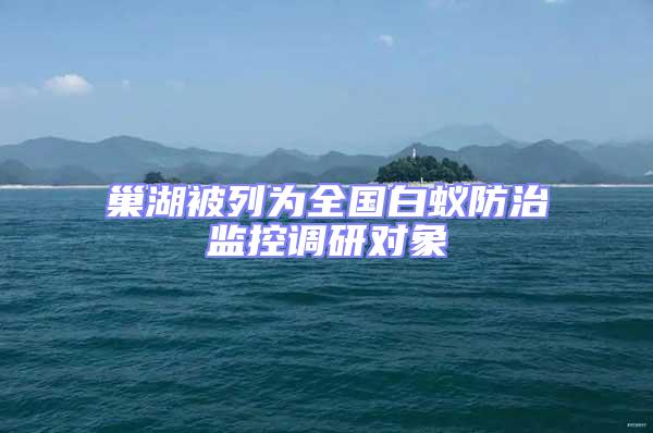巢湖被列為全國白蟻防治監控調研對象