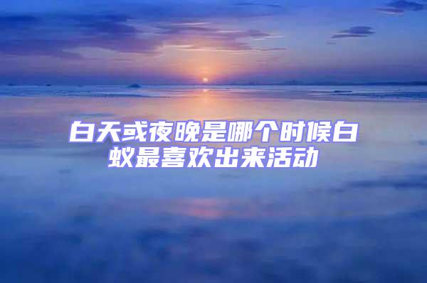 白天或夜晚是哪個時候白蟻最喜歡出來活動