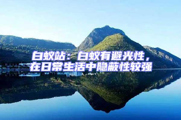 白蟻站：白蟻有避光性，在日常生活中隱蔽性較強