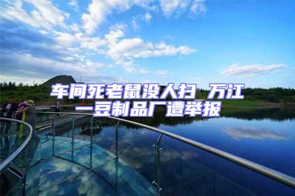 車(chē)間死老鼠沒(méi)人掃 萬(wàn)江一豆制品廠(chǎng)遭舉報(bào)