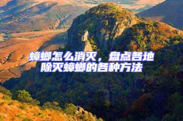 蟑螂怎么消滅，盤點各地除滅蟑螂的各種方法