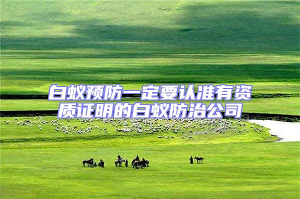 白蟻預防一定要認準有資質證明的白蟻防治公司