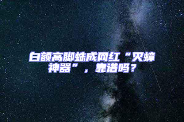 白額高腳蛛成網紅“滅蟑神器”，靠譜嗎？
