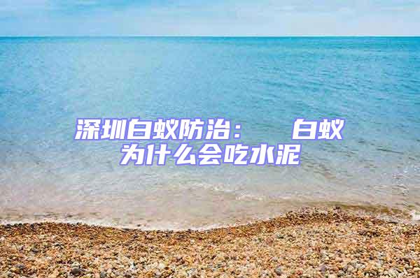 深圳白蟻防治：  白蟻為什么會吃水泥