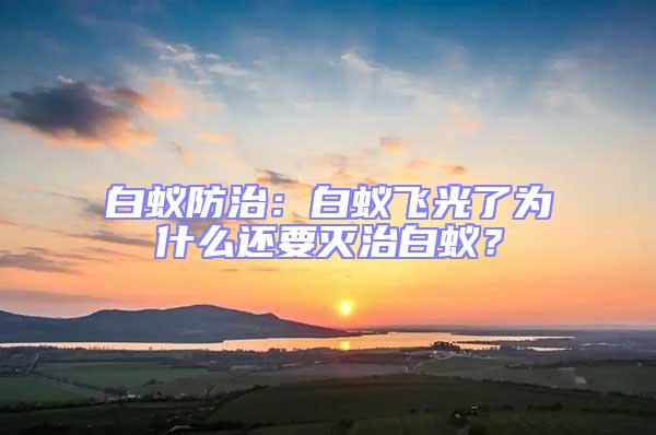 白蟻防治：白蟻飛光了為什么還要滅治白蟻？