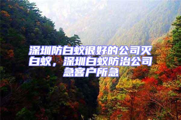 深圳防白蟻很好的公司滅白蟻，深圳白蟻防治公司急客戶所急