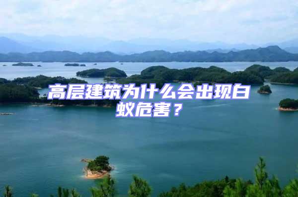 高層建筑為什么會出現(xiàn)白蟻危害？