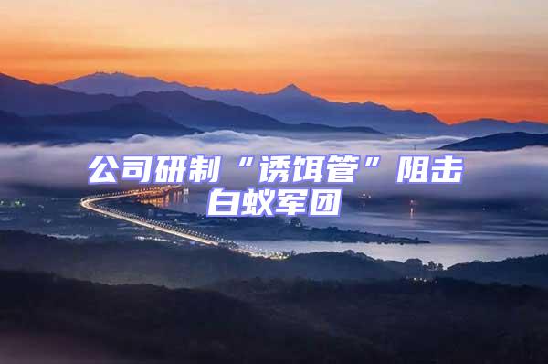 公司研制“誘餌管”阻擊白蟻軍團