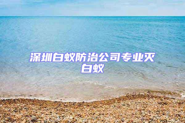 深圳白蟻防治公司專業滅白蟻