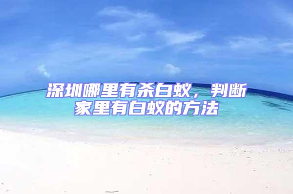 深圳哪里有殺白蟻，判斷家里有白蟻的方法