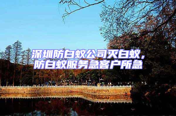 深圳防白蟻公司滅白蟻，防白蟻服務急客戶所急