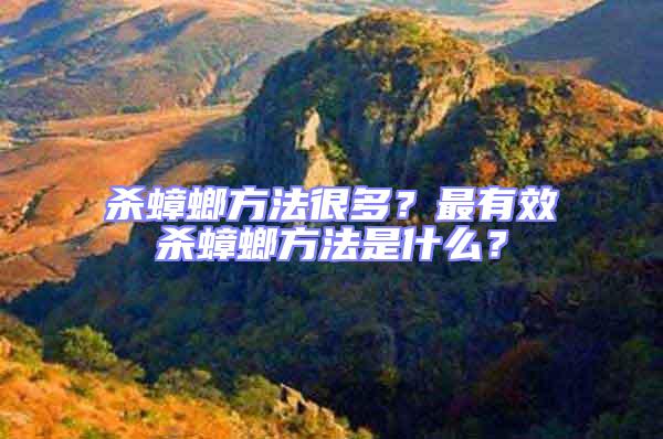 殺蟑螂方法很多？最有效殺蟑螂方法是什么？