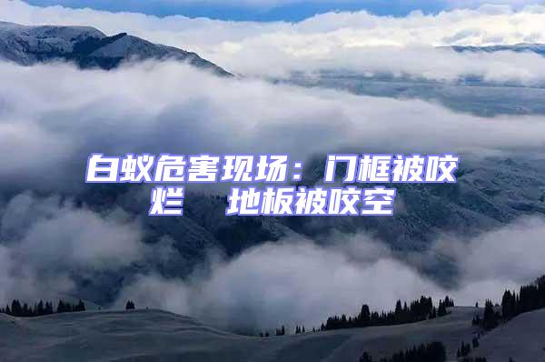 白蟻危害現(xiàn)場(chǎng)：門(mén)框被咬爛  地板被咬空