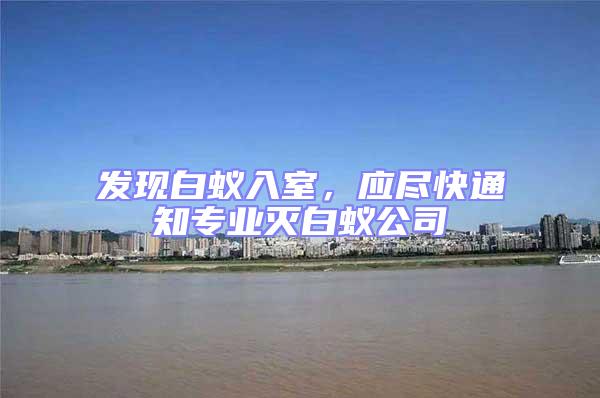 發(fā)現(xiàn)白蟻入室，應(yīng)盡快通知專(zhuān)業(yè)滅白蟻公司