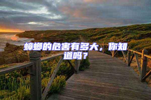 蟑螂的危害有多大，你知道嗎？