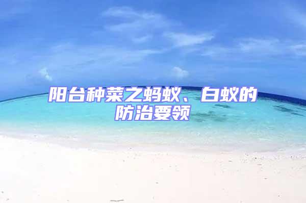 陽臺(tái)種菜之螞蟻、白蟻的防治要領(lǐng)