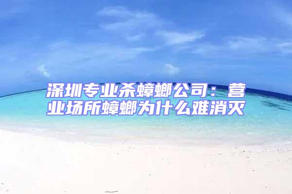 深圳專業殺蟑螂公司：營業場所蟑螂為什么難消滅