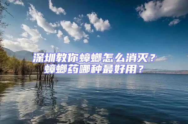 深圳教你蟑螂怎么消滅？蟑螂藥哪種最好用？