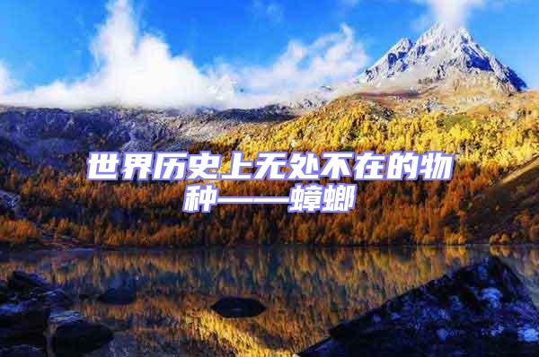 世界歷史上無處不在的物種——蟑螂