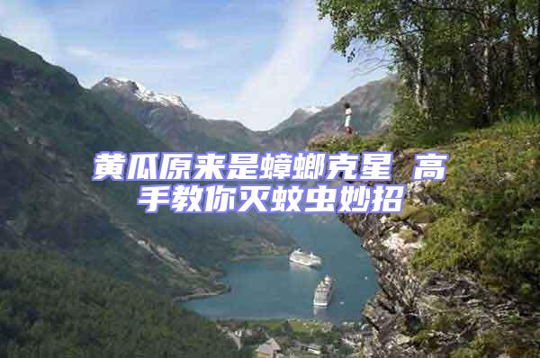 黃瓜原來是蟑螂克星 高手教你滅蚊蟲妙招