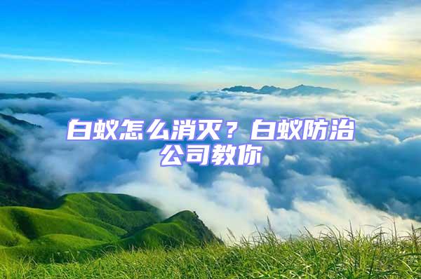 白蟻怎么消滅？白蟻防治公司教你