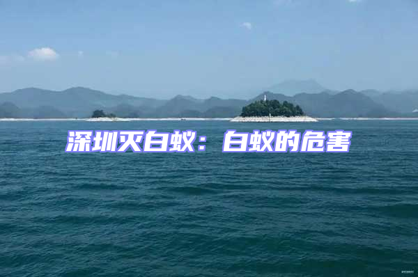 深圳滅白蟻：白蟻的危害