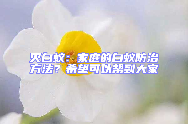 滅白蟻：家庭的白蟻防治方法？希望可以幫到大家