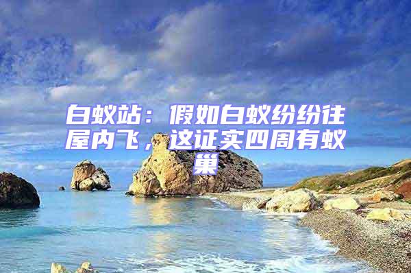 白蟻站：假如白蟻紛紛往屋內飛，這證實四周有蟻巢