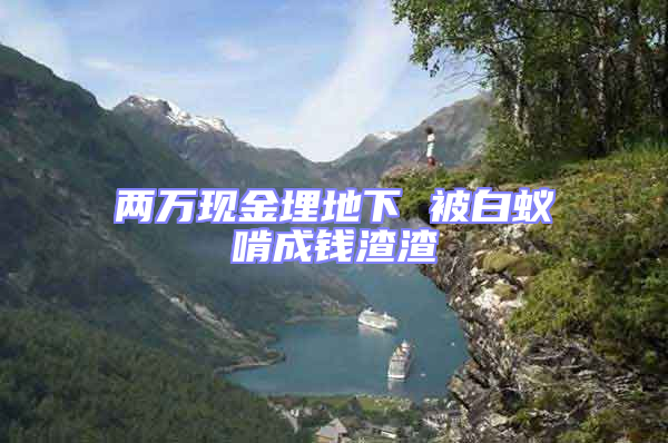 兩萬現(xiàn)金埋地下 被白蟻啃成錢渣渣