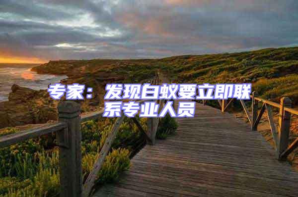 專家：發(fā)現(xiàn)白蟻要立即聯(lián)系專業(yè)人員