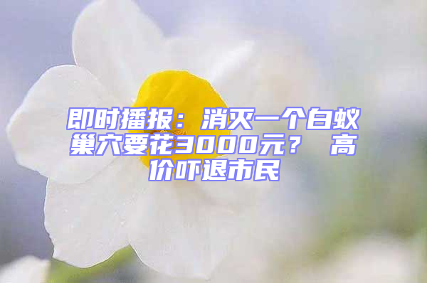 即時(shí)播報(bào)：消滅一個(gè)白蟻巢穴要花3000元？ 高價(jià)嚇退市民