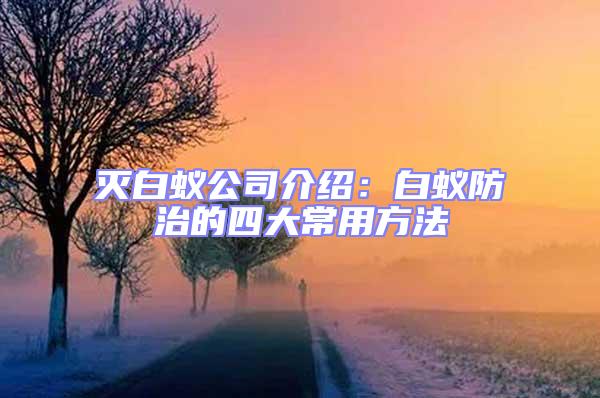 滅白蟻公司介紹：白蟻防治的四大常用方法