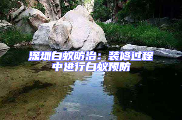 深圳白蟻防治：裝修過程中進行白蟻預防