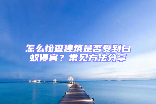 怎么檢查建筑是否受到白蟻侵害？常見(jiàn)方法分享
