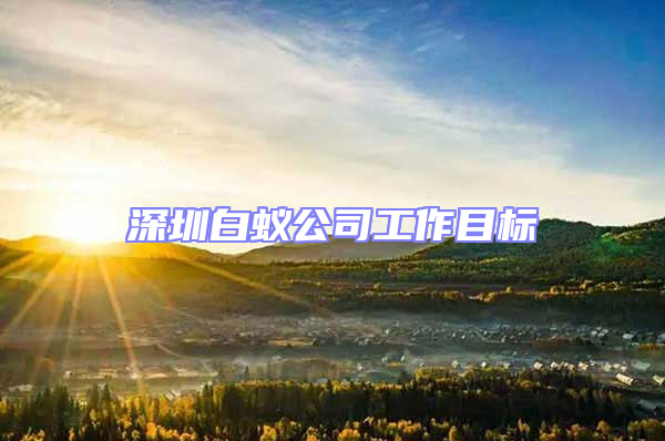 深圳白蟻公司工作目標