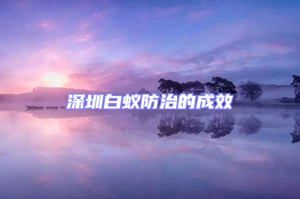 深圳白蟻防治的成效