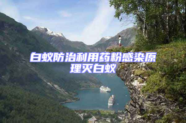 白蟻防治利用藥粉感染原理滅白蟻