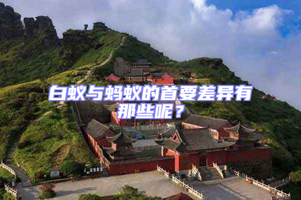 白蟻與螞蟻的首要差異有那些呢？