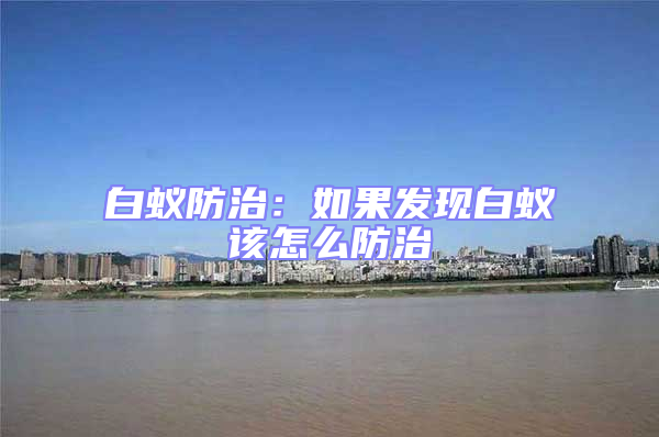 白蟻防治：如果發現白蟻該怎么防治