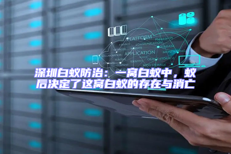 深圳白蟻防治：一窩白蟻中，蟻后決定了這窩白蟻的存在與消亡