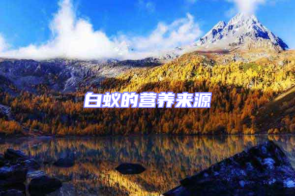 白蟻的營(yíng)養(yǎng)來(lái)源