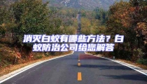 消滅白蟻有哪些方法？白蟻防治公司給您解答