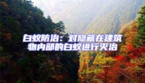 白蟻防治：對(duì)隱藏在建筑物內(nèi)部的白蟻進(jìn)行滅治