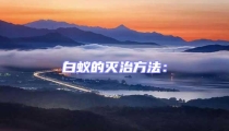 白蟻的滅治方法：