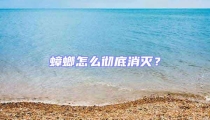 蟑螂怎么徹底消滅？