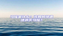 馬陸是什么？該如何快速地消滅馬陸？